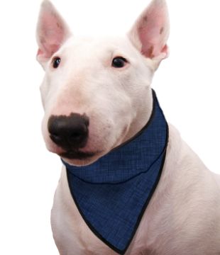 Immagine di AQUA COOLKEEPER PET BANDANA REFRIGERANTE PACIFIC BLU TG 11 XL COLLO DA 61 A 68 CM