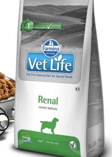 Farmina VET LIFE CANE RENAL 12 kg