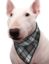 Immagine di SALDI PET BANDANA REFRIGERANTE SCOTTISH GREY TG 03 XS COLLO DA 26 A 33 CM AQUA COOLKEEPER