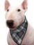 Immagine di PET BANDANA REFRIGERANTE SCOTTISH GREY TG 09 L COLLO DA 51 A 60 CM AQUA COOLKEEPER