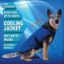 PET JACKET CAMICIA REFRIGERANTE PACIFIC BLU TG 03 XS  AQUA COOLKEEPER CIRCONFERENZA TORACE DA 51 A 65 cm  
