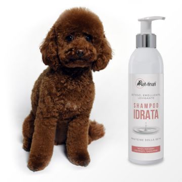 SHAMPOO PROFESSIONALE IDRATA 250 ML alla proteina della SETA effetto CHERATINA