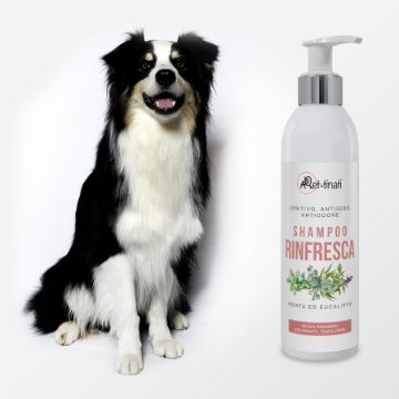 SHAMPOO PROFESSIONALE RINFRESCA  250 ML ANTIODORE